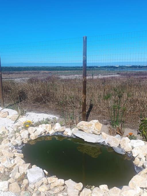 Vila Casa Da Mareria Gafanha da Boa Hora Exteriér fotografie